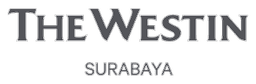 logo-1994