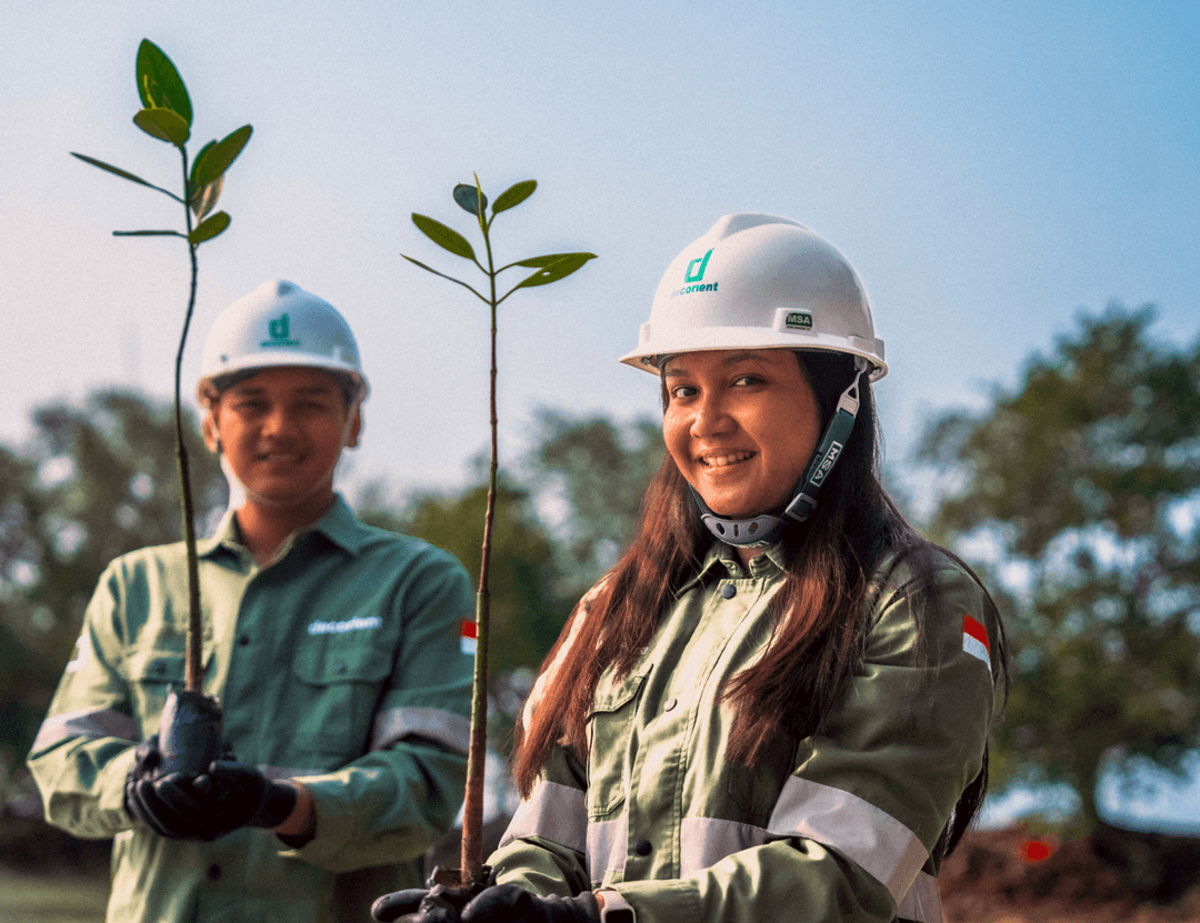 Construction workers holding seedlings